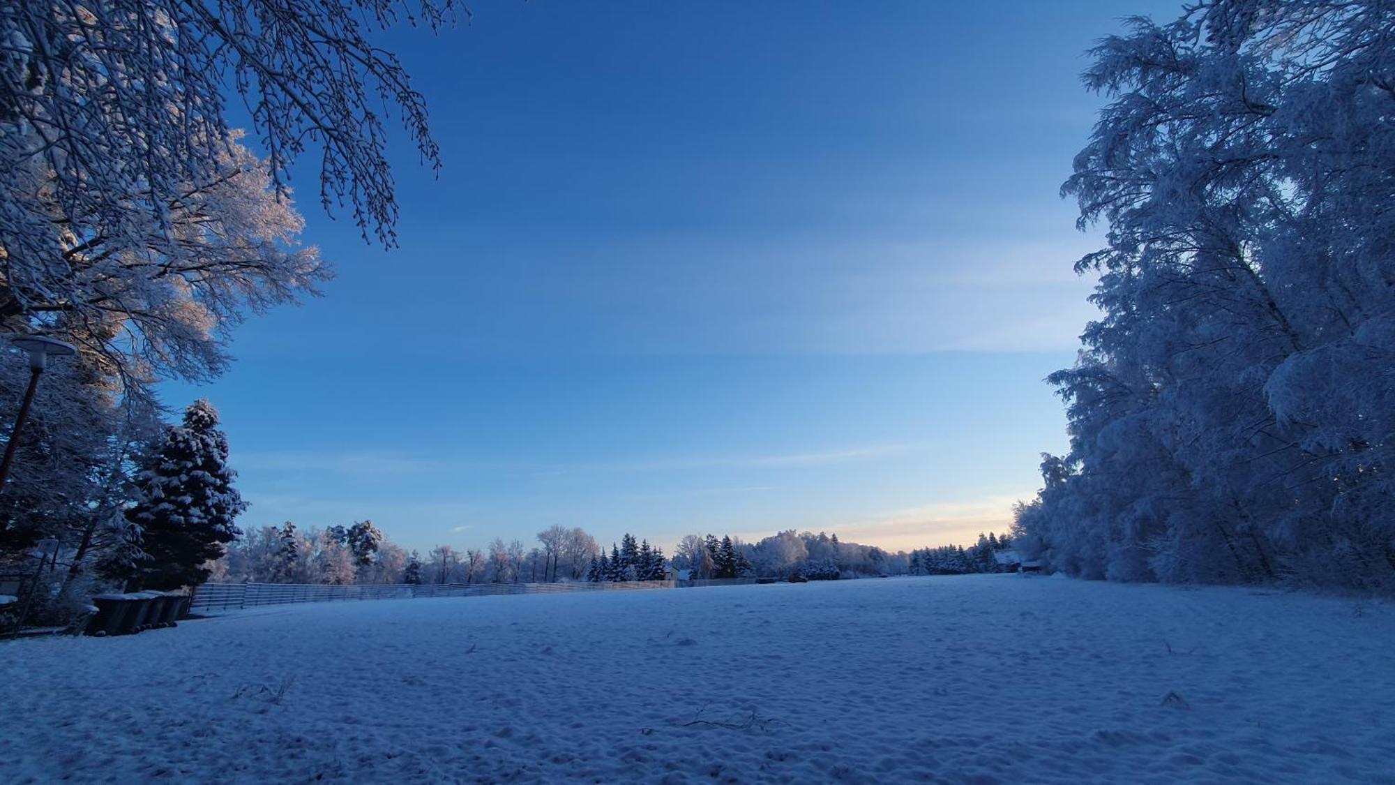 Ferienwohnung Am See Kromlau Bagian luar foto